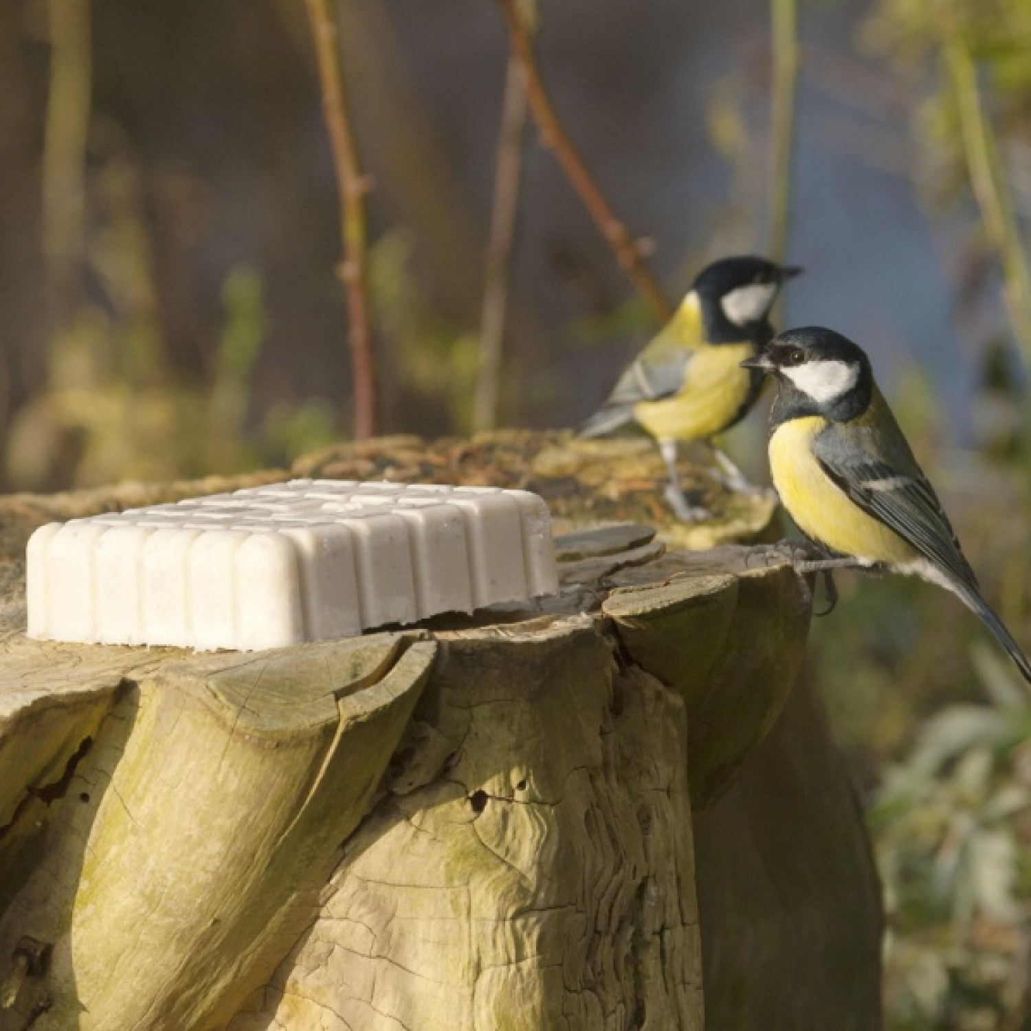 NABU Energieblock mit Insekten 300 g